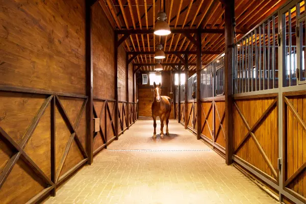 Stable Lighting